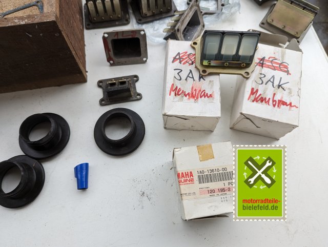 PXL_20240518_155023812